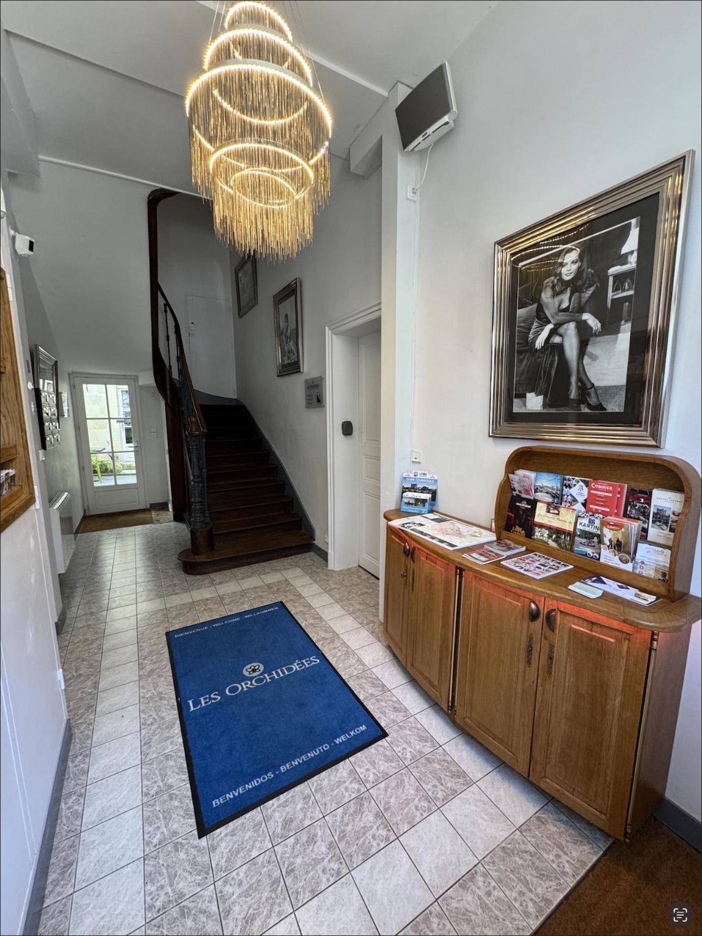Les Lys D'Or Apartment Saumur Bagian luar foto