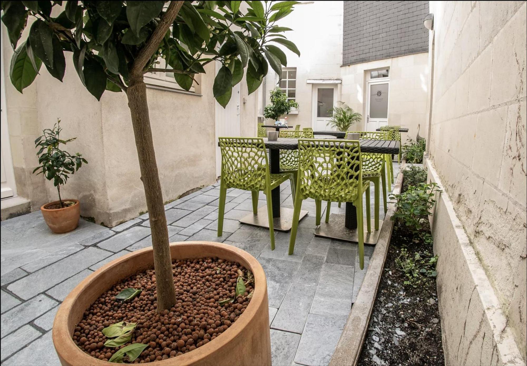Les Lys D'Or Apartment Saumur Bagian luar foto